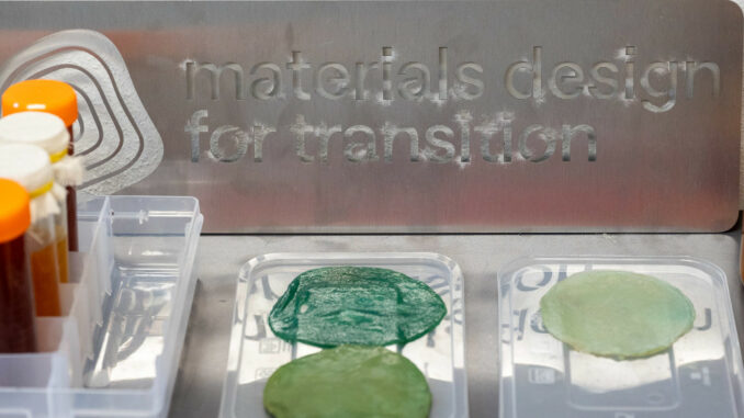 foto e © di Paride Aldegani